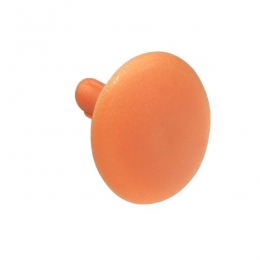 Cepurīte priede 13x4.2